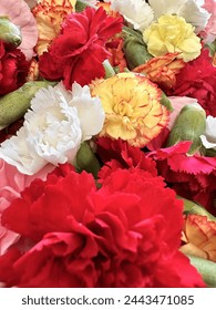 玩老虎机的常见误区：避免这些错误让你更胜一筹