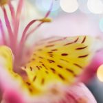 7月1日最新开奖结果查询与历史中奖号码汇总 4m4gv6wl