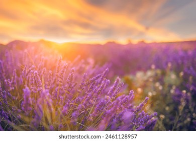 7月6日福彩开奖结果公布，大奖花落谁家？