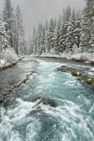 王牌娱乐行业的未来：新兴趋势与发展机遇分析