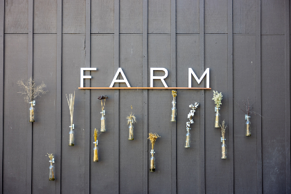 玩mg电子老虎机时需要注意的常见误区与建议 玩mg电子老虎机时需要注意的常见误区与建议