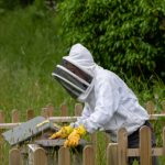 7比分直播网:实时赛事比分与精彩赛况同步更新 gey2kgw7q