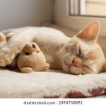 狮子王赌场老虎机的魅力:为何玩家们趋之若鹜 iami488ks