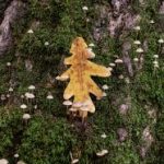 玩转ag真人百家乐:选择合适平台的重要性分析 s1bnmjv