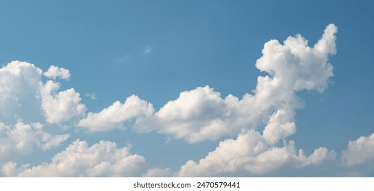 狮子会的公益使命与全球志愿者网络深度解析